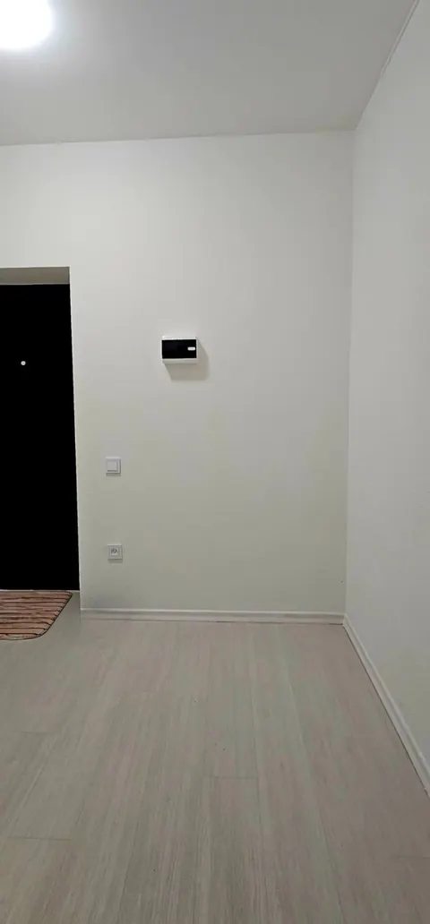 Прихожая, входная дверь